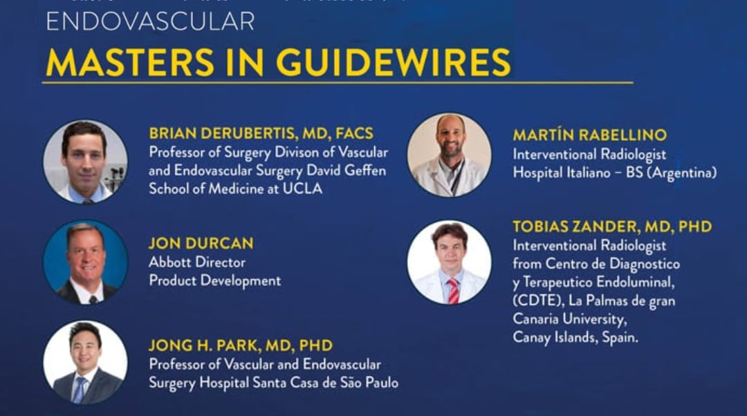 Master In Guidewires
