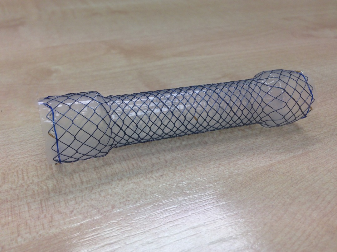 Stent de colon